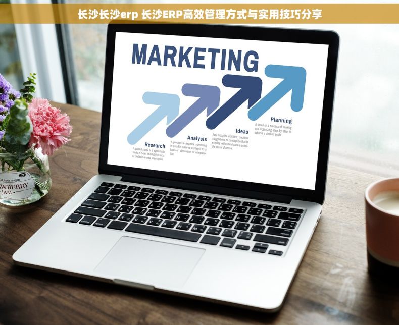 长沙长沙erp 长沙ERP高效管理方式与实用技巧分享