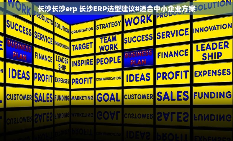 长沙长沙erp 长沙ERP选型建议#适合中小企业方案
