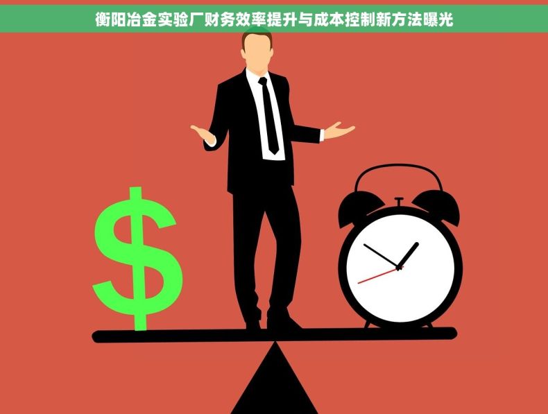 衡阳冶金实验厂财务效率提升与成本控制新方法曝光