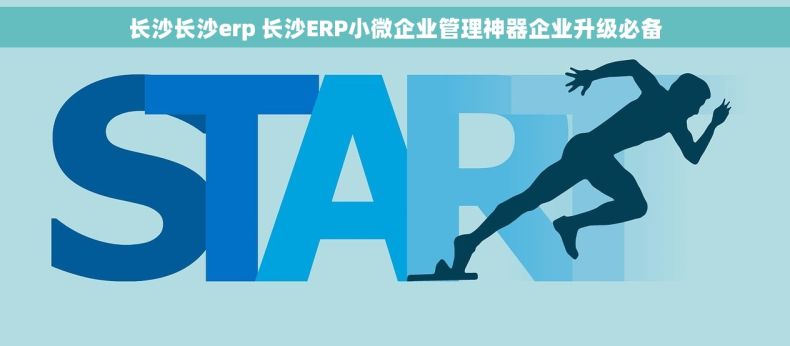 长沙长沙erp 长沙ERP小微企业管理神器企业升级必备