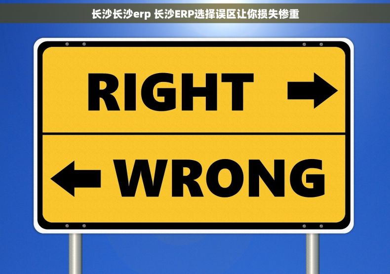 长沙长沙erp 长沙ERP选择误区让你损失惨重