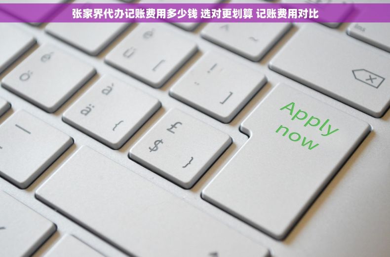 张家界代办记账费用多少钱 选对更划算 记账费用对比