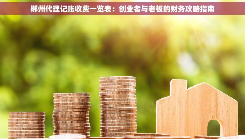 郴州代理记账收费一览表：创业者与老板的财务攻略指南
