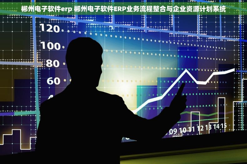 郴州电子软件erp 郴州电子软件ERP业务流程整合与企业资源计划系统