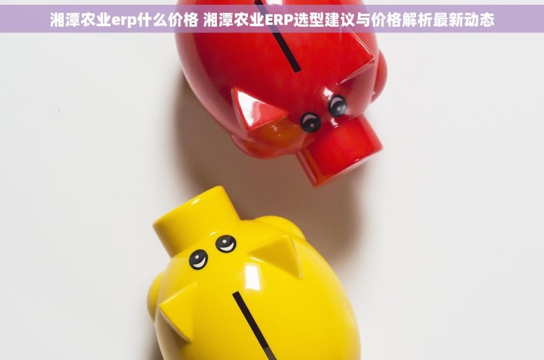 湘潭农业erp什么价格 湘潭农业ERP选型建议与价格解析最新动态