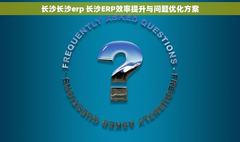 长沙长沙erp 长沙ERP效率提升与问题优化方案