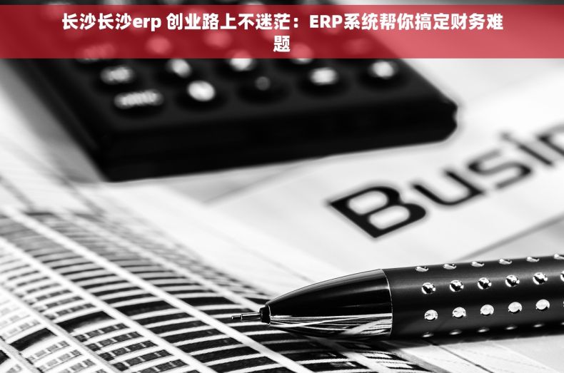 长沙长沙erp 创业路上不迷茫：ERP系统帮你搞定财务难题