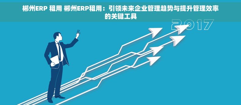 郴州ERP 租用 郴州ERP租用：引领未来企业管理趋势与提升管理效率的关键工具