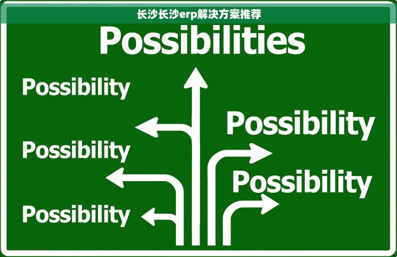 长沙长沙erp解决方案推荐