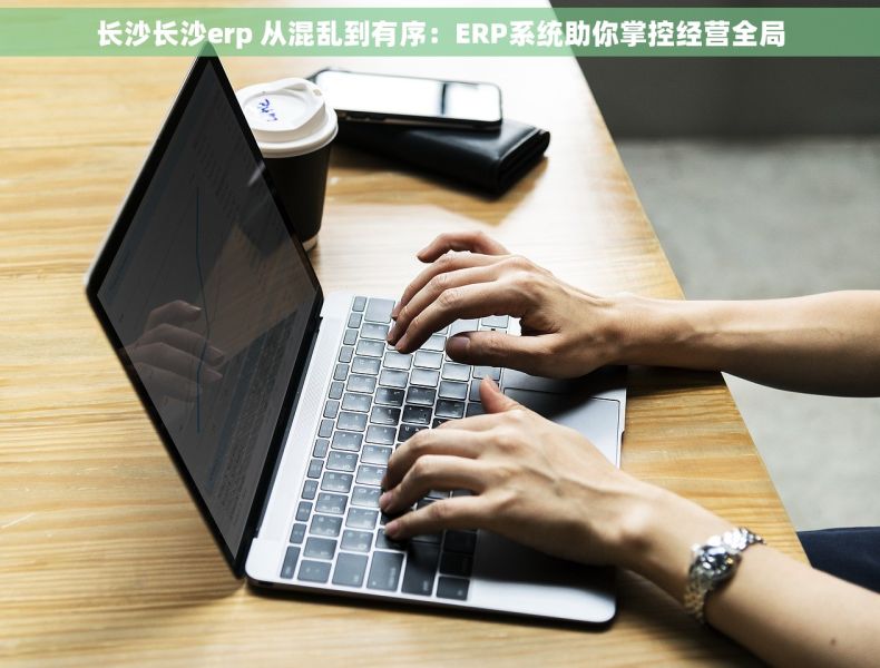 长沙长沙erp 从混乱到有序：ERP系统助你掌控经营全局