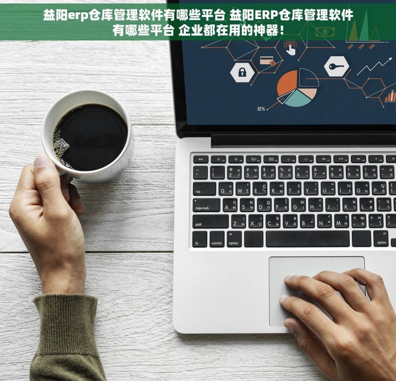 益阳erp仓库管理软件有哪些平台 益阳ERP仓库管理软件有哪些平台 企业都在用的神器！