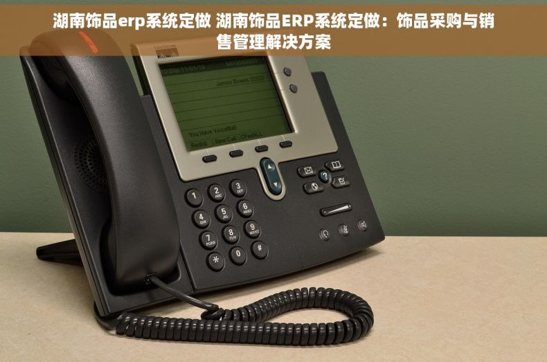 湖南饰品erp系统定做 湖南饰品ERP系统定做：饰品采购与销售管理解决方案