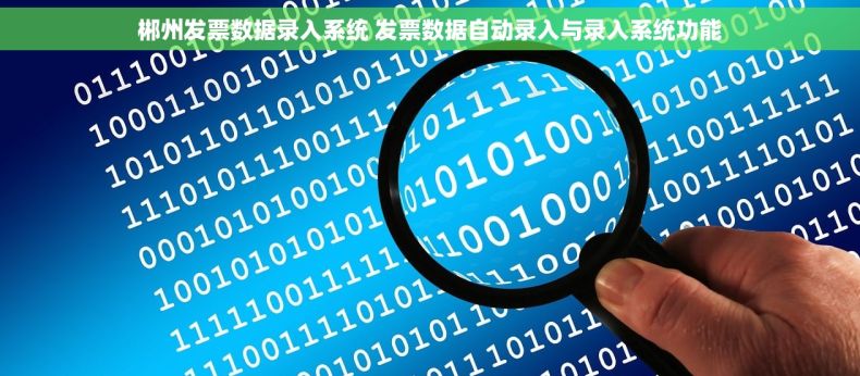 郴州发票数据录入系统 发票数据自动录入与录入系统功能