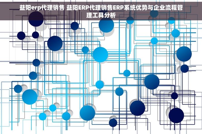 益阳erp代理销售 益阳ERP代理销售ERP系统优势与企业流程管理工具分析