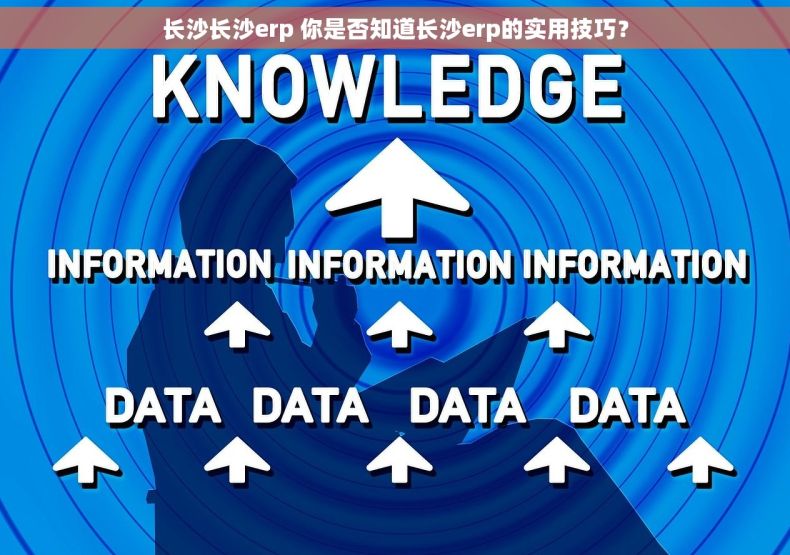 长沙长沙erp 你是否知道长沙erp的实用技巧？