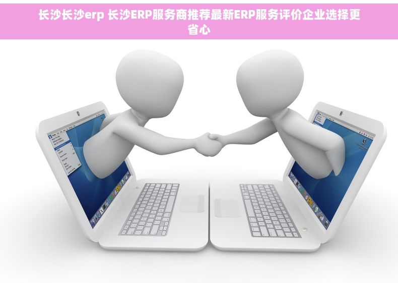 长沙长沙erp 长沙ERP服务商推荐最新ERP服务评价企业选择更省心