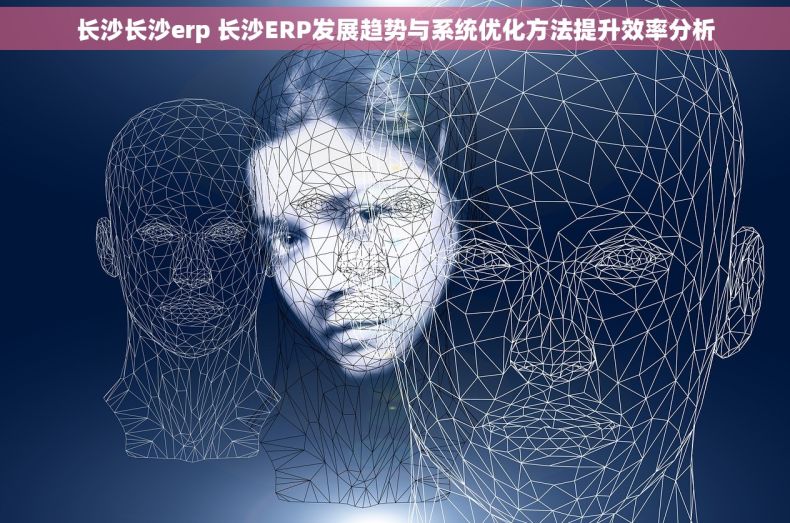 长沙长沙erp 长沙ERP发展趋势与系统优化方法提升效率分析