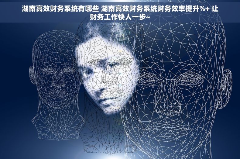 湖南高效财务系统有哪些 湖南高效财务系统财务效率提升%+ 让财务工作快人一步~