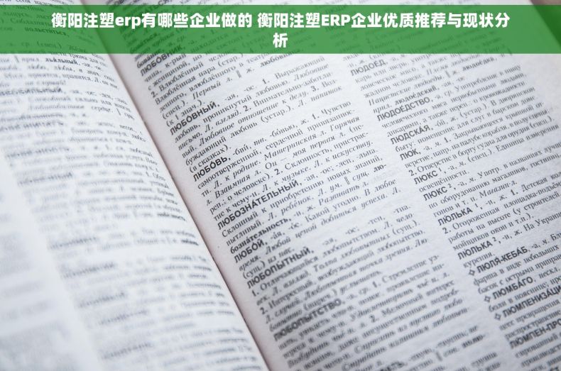 衡阳注塑erp有哪些企业做的 衡阳注塑ERP企业优质推荐与现状分析