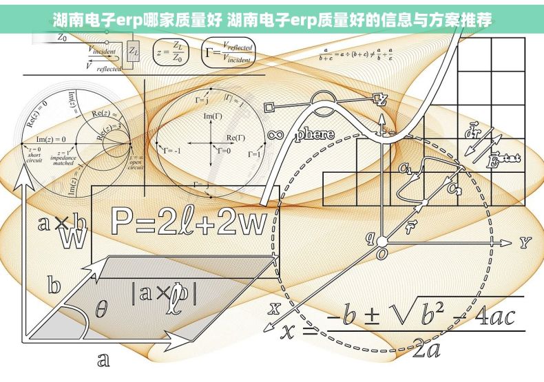 湖南电子erp哪家质量好 湖南电子erp质量好的信息与方案推荐
