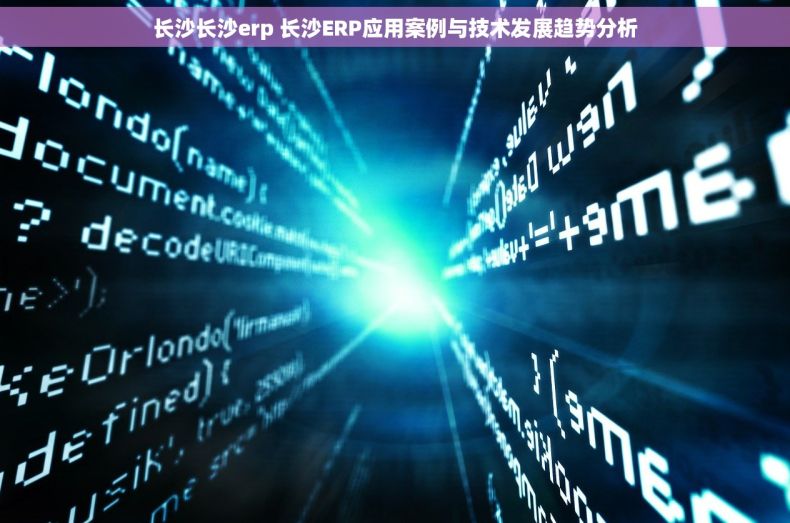 长沙长沙erp 长沙ERP应用案例与技术发展趋势分析