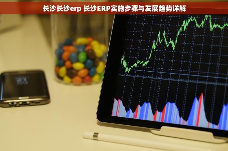 长沙长沙erp 长沙ERP实施步骤与发展趋势详解