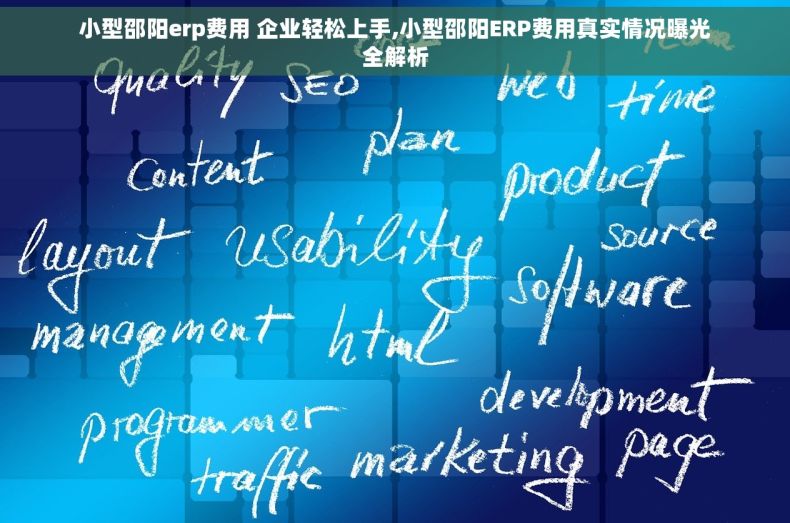 小型邵阳erp费用 企业轻松上手,小型邵阳ERP费用真实情况曝光全解析