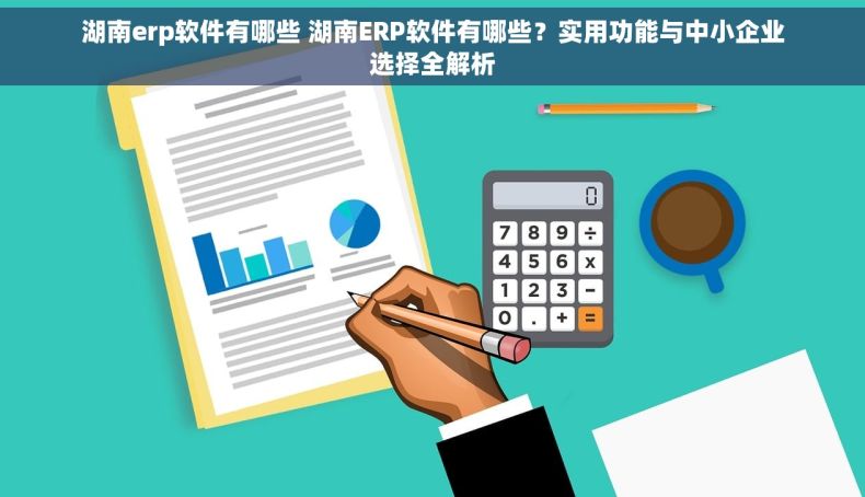 湖南erp软件有哪些 湖南ERP软件有哪些？实用功能与中小企业选择全解析