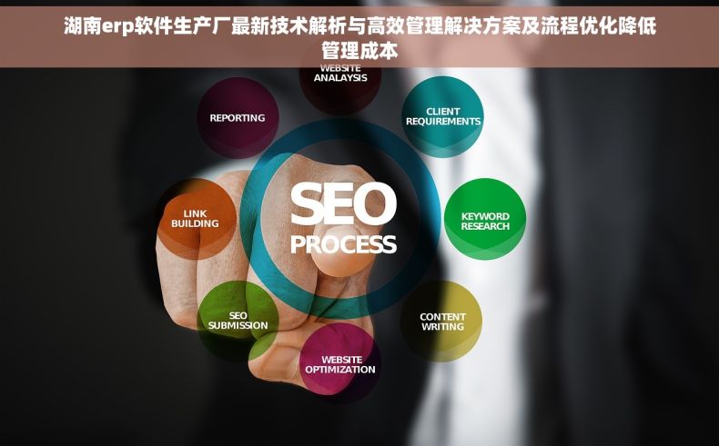 湖南erp软件生产厂最新技术解析与高效管理解决方案及流程优化降低管理成本