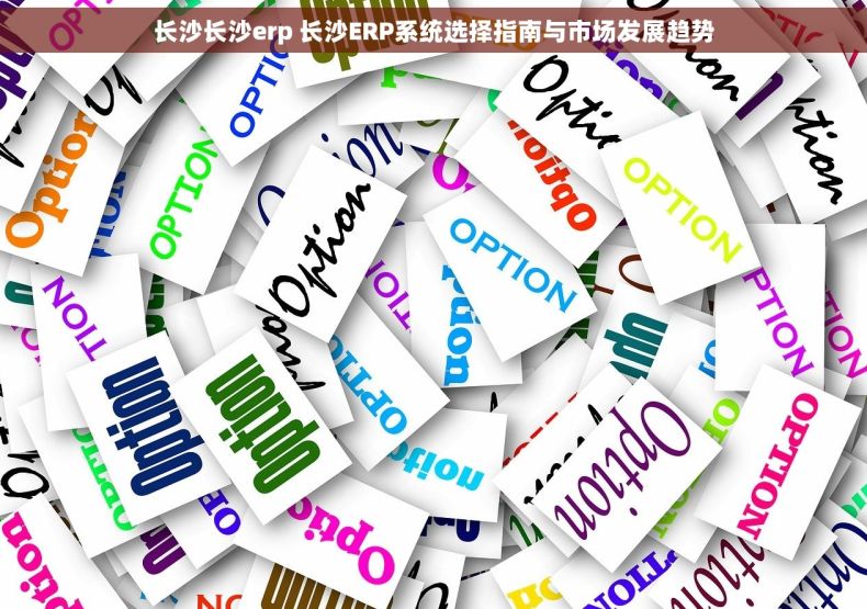 长沙长沙erp 长沙ERP系统选择指南与市场发展趋势