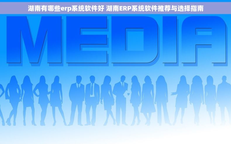 湖南有哪些erp系统软件好 湖南ERP系统软件推荐与选择指南