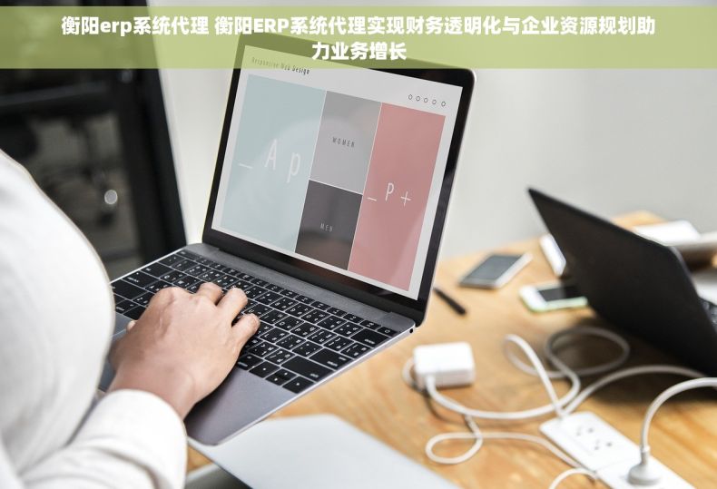 衡阳erp系统代理 衡阳ERP系统代理实现财务透明化与企业资源规划助力业务增长