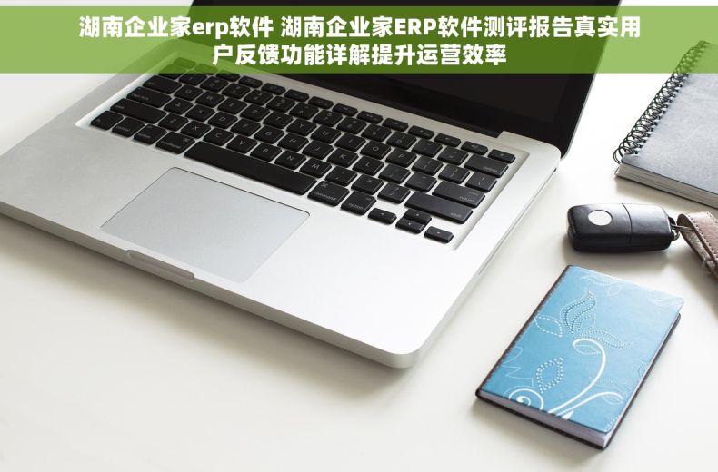 湖南企业家erp软件 湖南企业家ERP软件测评报告真实用户反馈功能详解提升运营效率