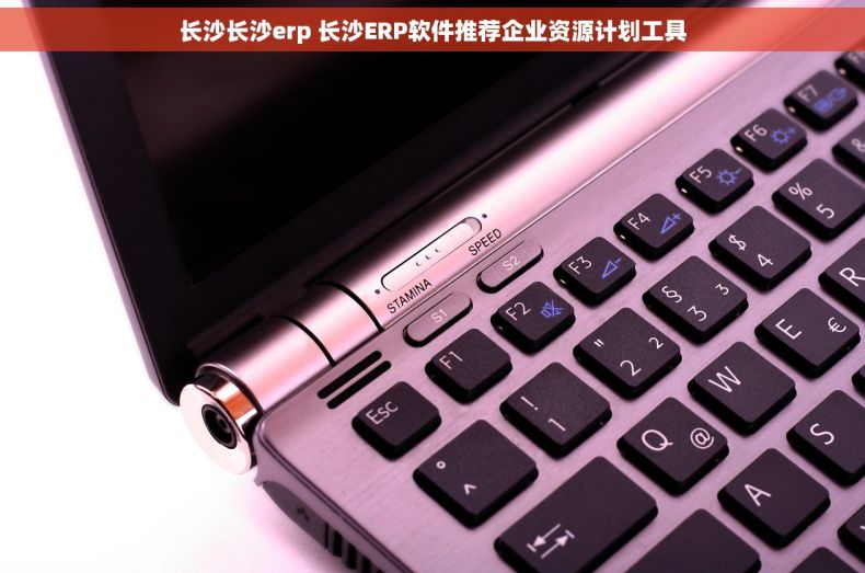 长沙长沙erp 长沙ERP软件推荐企业资源计划工具