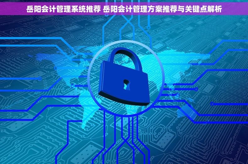 岳阳会计管理系统推荐 岳阳会计管理方案推荐与关键点解析