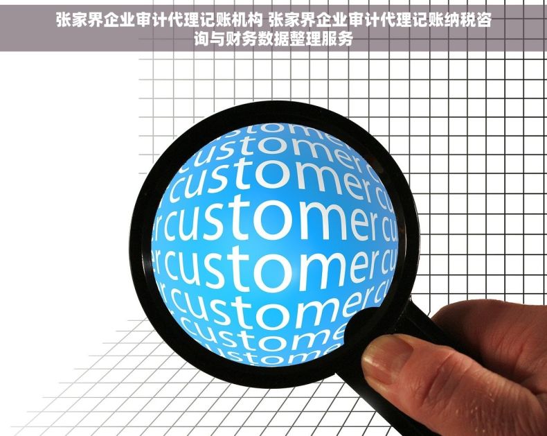 张家界企业审计代理记账机构 张家界企业审计代理记账纳税咨询与财务数据整理服务