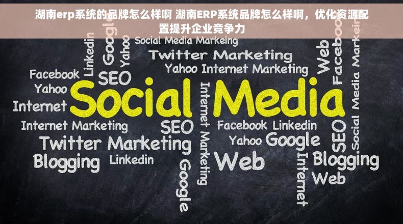 湖南erp系统的品牌怎么样啊 湖南ERP系统品牌怎么样啊，优化资源配置提升企业竞争力