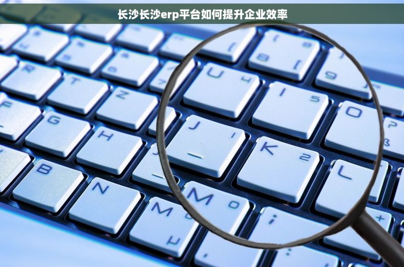 长沙长沙erp平台如何提升企业效率