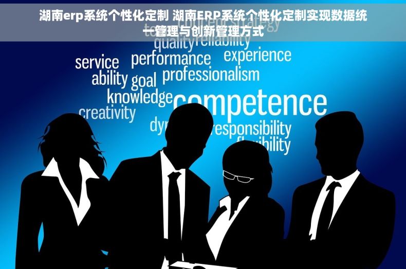 湖南erp系统个性化定制 湖南ERP系统个性化定制实现数据统一管理与创新管理方式