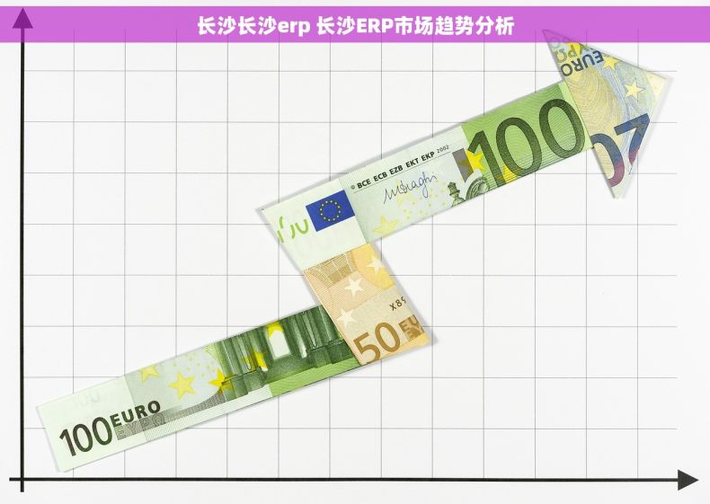 长沙长沙erp 长沙ERP市场趋势分析