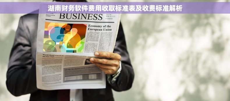 湖南财务软件费用收取标准表及收费标准解析