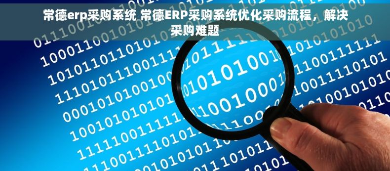 常德erp采购系统 常德ERP采购系统优化采购流程，解决采购难题