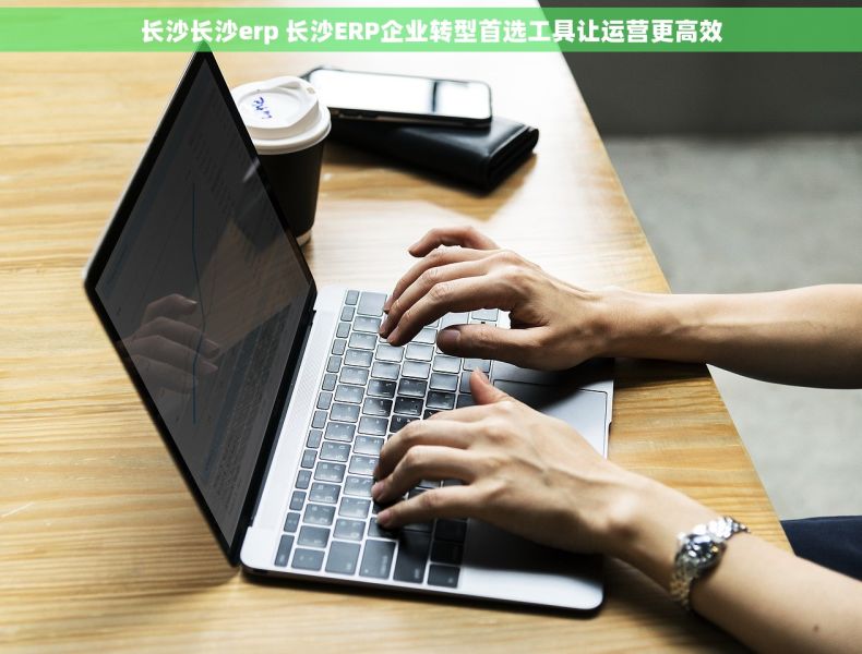 长沙长沙erp 长沙ERP企业转型首选工具让运营更高效