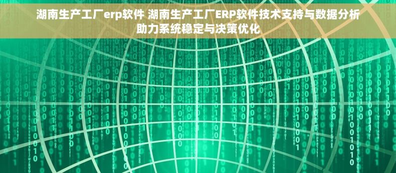 湖南生产工厂erp软件 湖南生产工厂ERP软件技术支持与数据分析助力系统稳定与决策优化