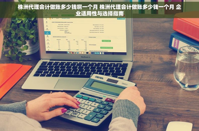 株洲代理会计做账多少钱啊一个月 株洲代理会计做账多少钱一个月 企业适用性与选择指南