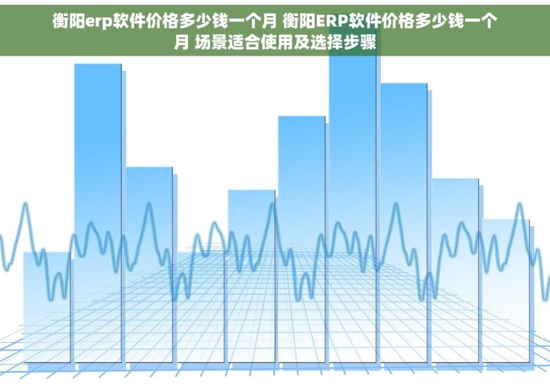 衡阳erp软件价格多少钱一个月 衡阳ERP软件价格多少钱一个月 场景适合使用及选择步骤