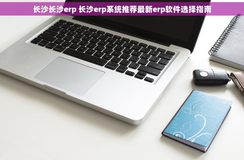 长沙长沙erp 长沙erp系统推荐最新erp软件选择指南