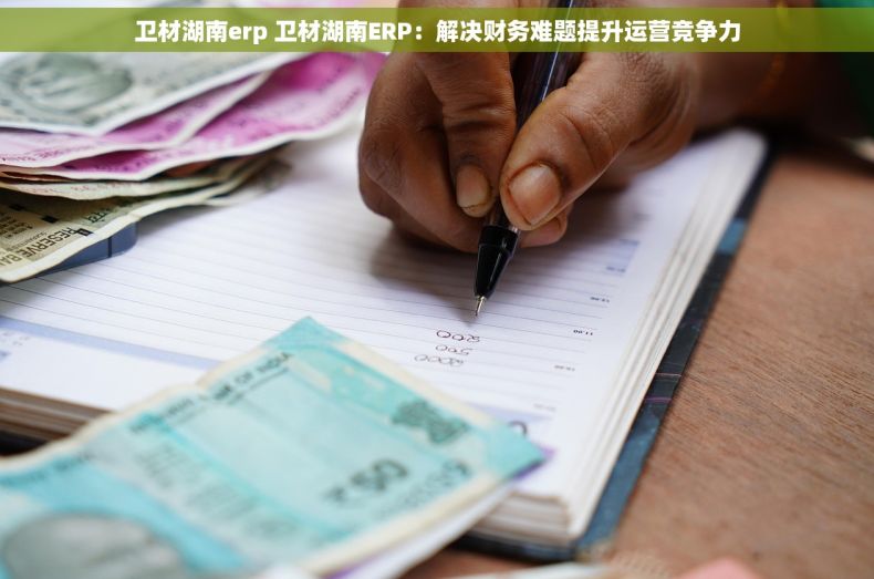 卫材湖南erp 卫材湖南ERP：解决财务难题提升运营竞争力