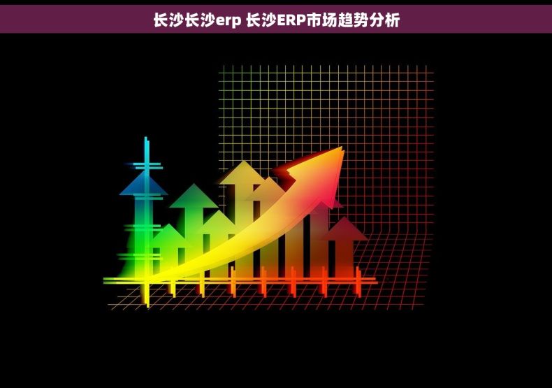 长沙长沙erp 长沙ERP市场趋势分析