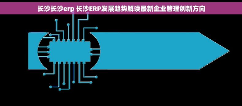 长沙长沙erp 长沙ERP发展趋势解读最新企业管理创新方向